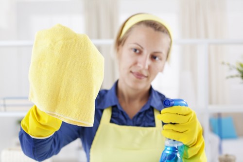 Professional oven cleaning service for a Watford home kitchen