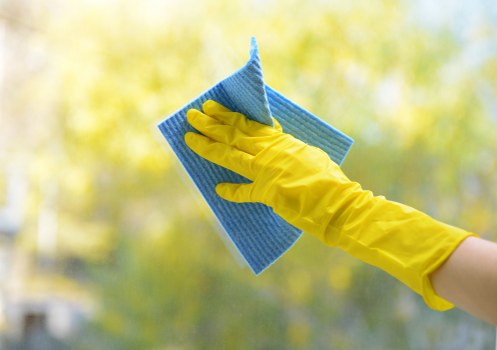 Local cleaners working in a Watford residential home