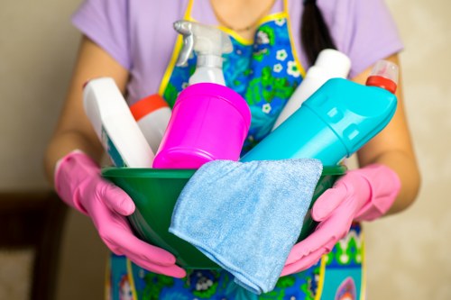 Cleaning professional preparing a room for service
