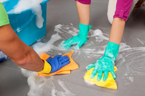 Essential cookies and website functionality for Watford Cleaner