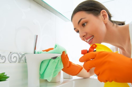 Deep cleaning equipment used for pet stain removal on carpet