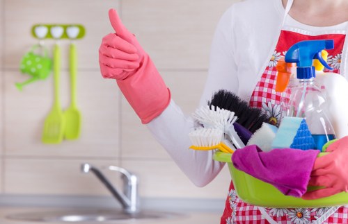 Watford Cleaner supplier due diligence and risk review