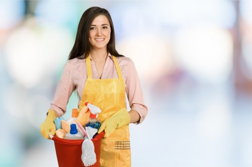 Deep mattress cleaning process for home or rental properties in Watford