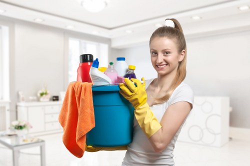 Odour removal treatment for a mattress after pet accidents
